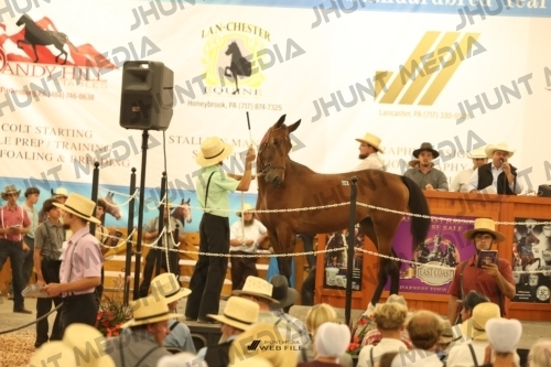 JHM_1687