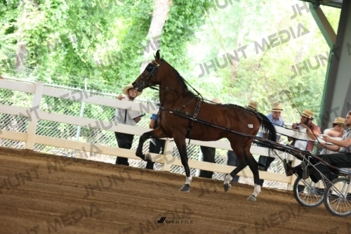 JHM_0260