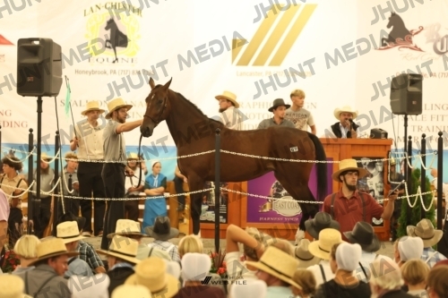 JHM_1659