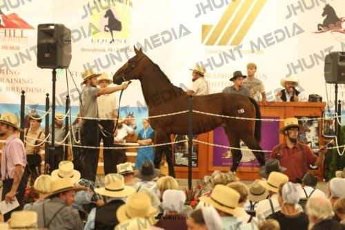 JHM_1660