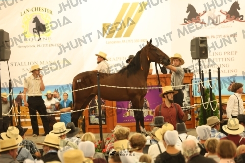 JHM_1665