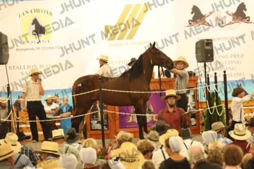 JHM_1666