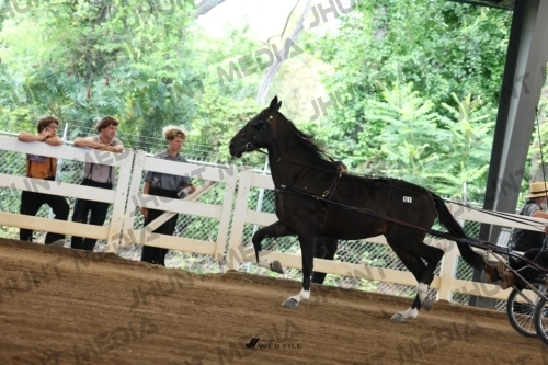 JHM_0579