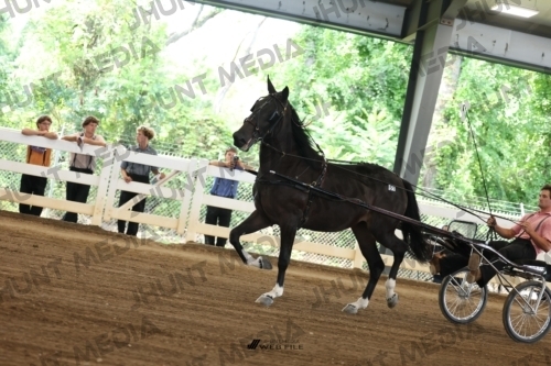 JHM_0587