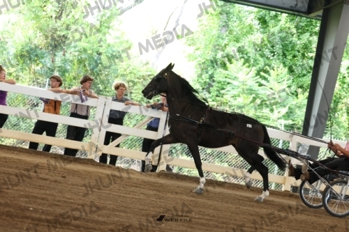 JHM_0589