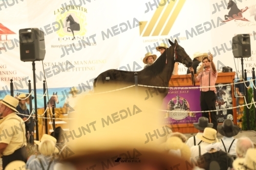 JHM_1452