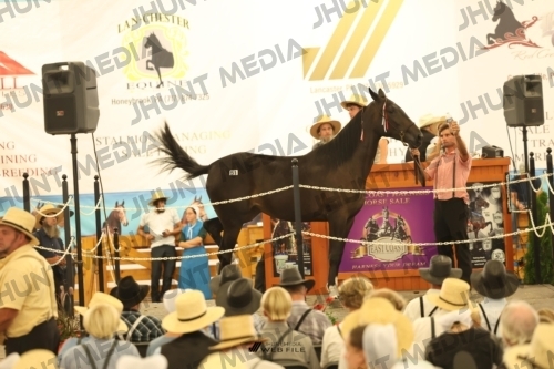 JHM_1453