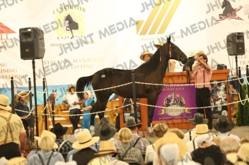 JHM_1454