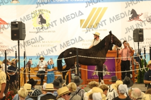 JHM_1456