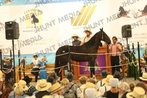 JHM_1459