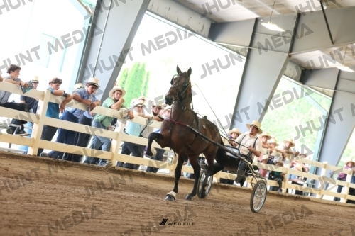 JHM_0669