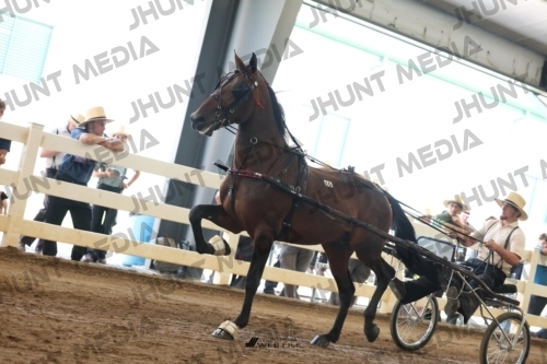 JHM_0671