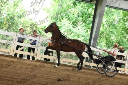 JHM_0673