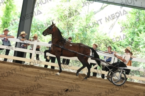 JHM_0674