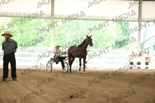 JHM_0676