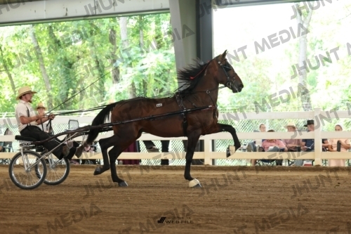 JHM_0678