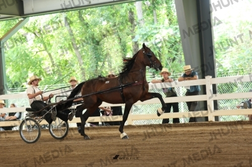 JHM_0679