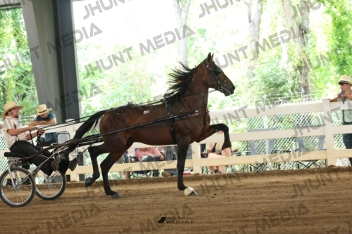 JHM_0680