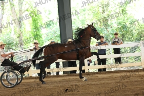 JHM_0681