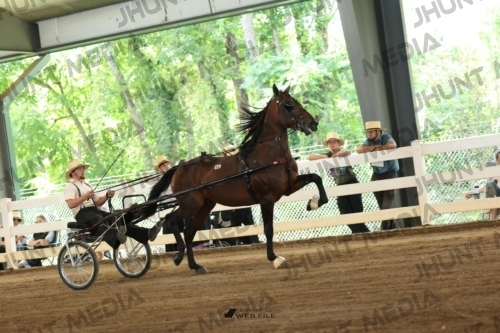 JHM_0685