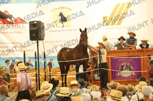 JHM_1645