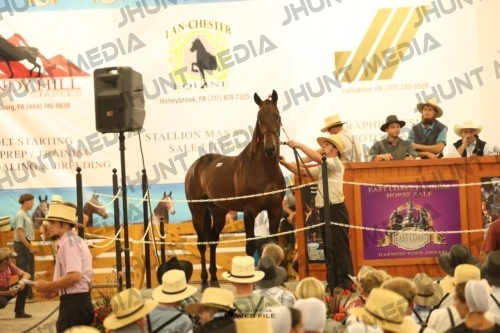 JHM_1646
