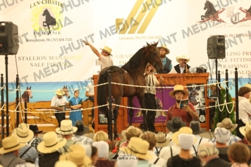JHM_1648