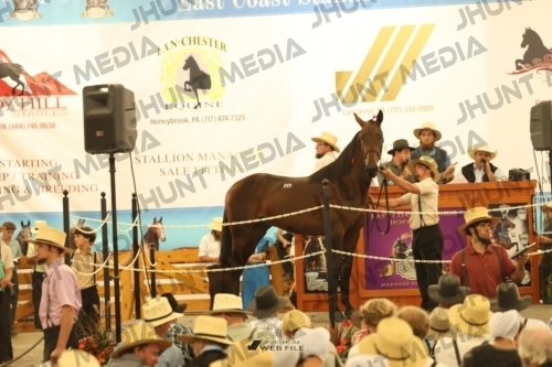 JHM_1653