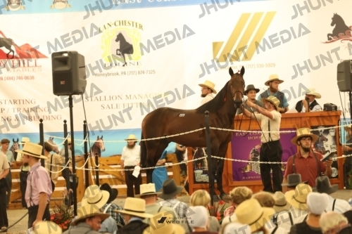 JHM_1656