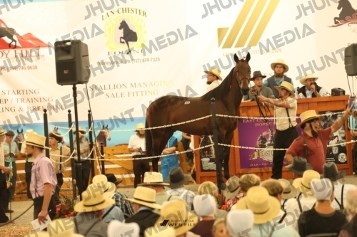 JHM_1658