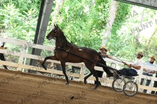 JHM_0648