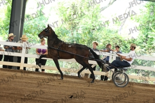 JHM_0653