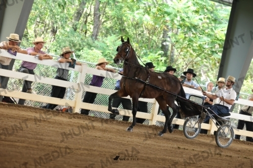 JHM_0661