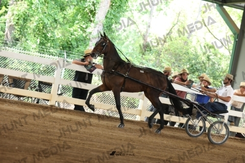 JHM_0663
