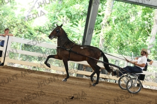 JHM_0667