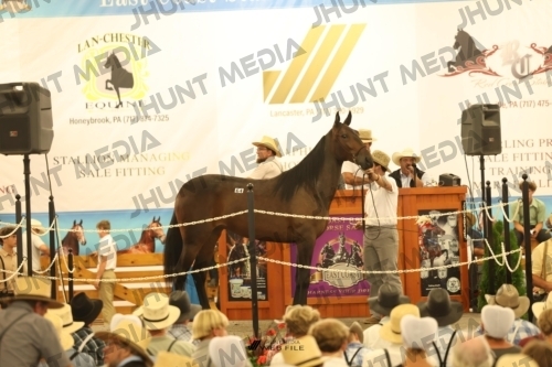 JHM_1626