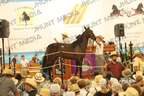 JHM_1627