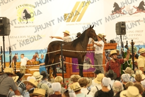 JHM_1628