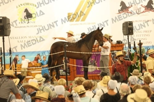 JHM_1629