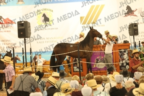 JHM_1631