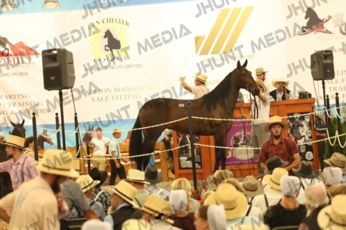 JHM_1633