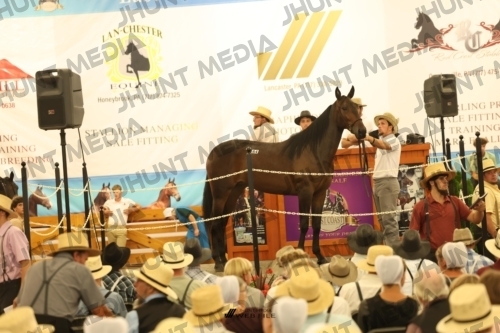 JHM_1636