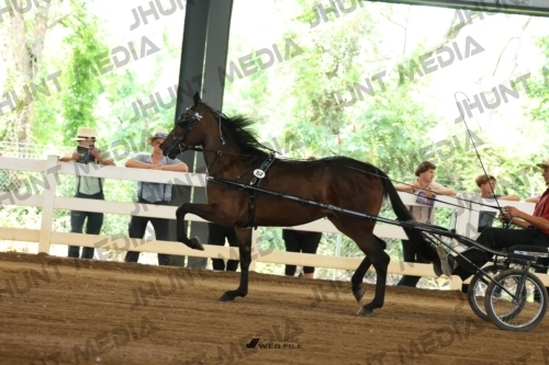 JHM_0489