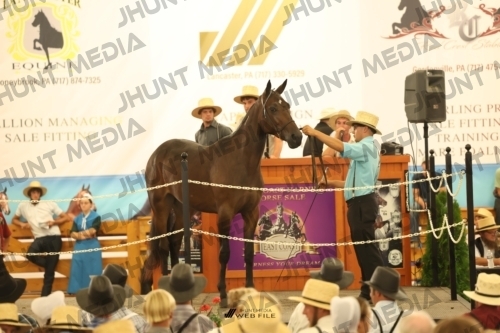 JHM_1460