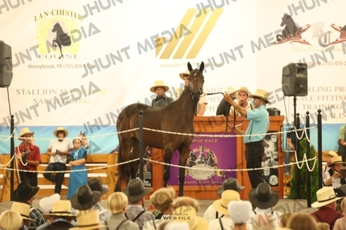 JHM_1461