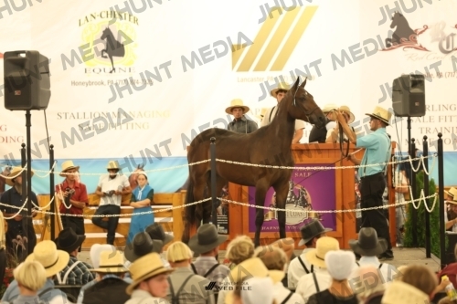 JHM_1463