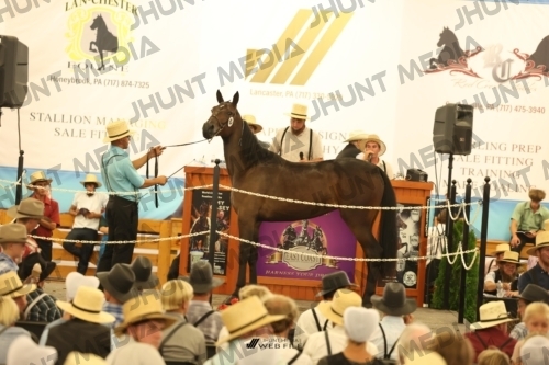 JHM_1464