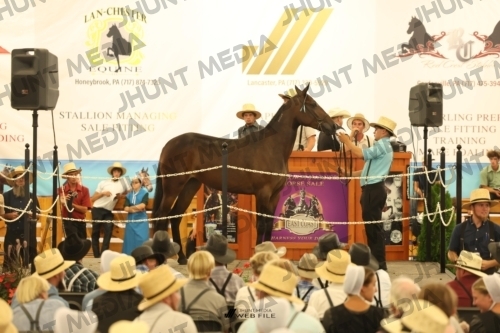 JHM_1466
