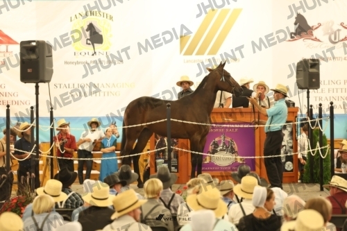 JHM_1468
