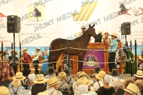 JHM_1471